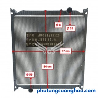 Két nước xe tải CNHTC HOWO 290 cao 89, rộng 77